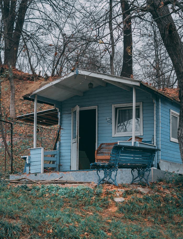 Charming blue cabin surrounded by bare trees in a serene autumn forest setting.